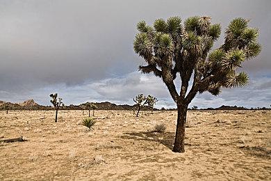 《黑神话》制作人发文：试玩准备艰难，但此次毫无保留